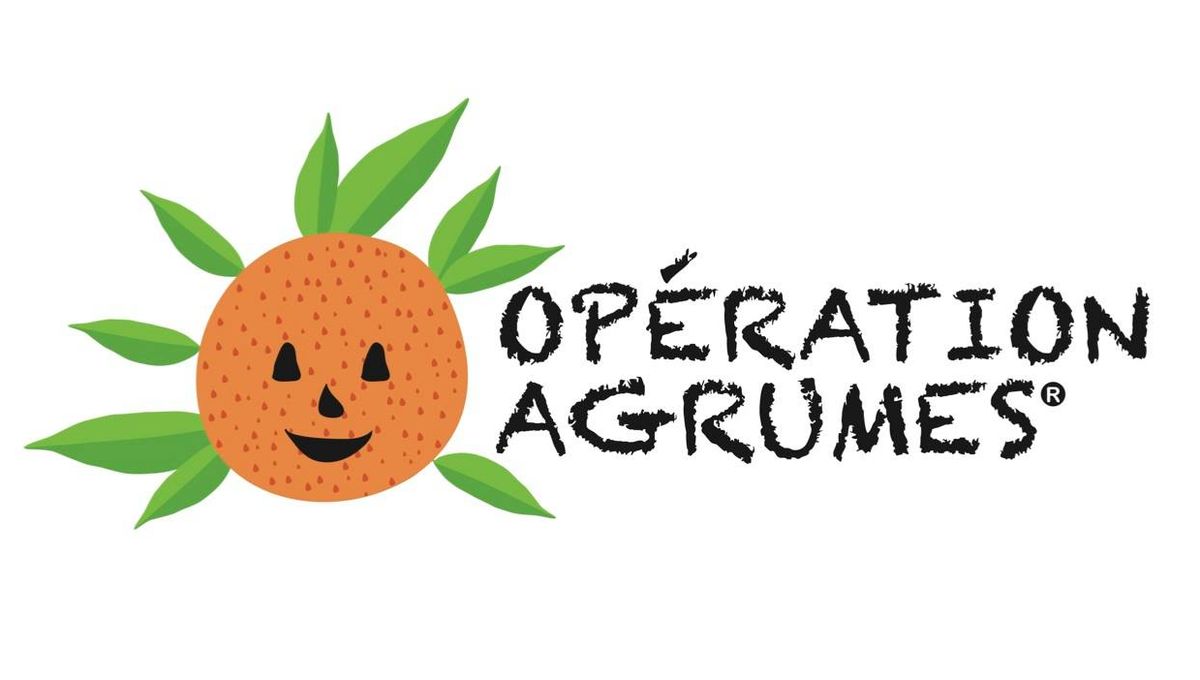 Opération Agrumes